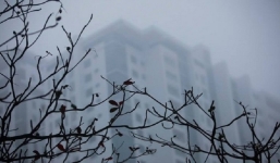 Bản tin dự báo thời tiết ngày và đêm 4/3: Hà Nội có mưa rào cục bộ, trời nhiều mây và sương mù