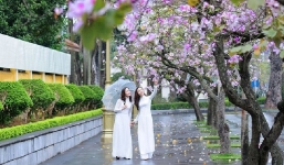 Bản tin thời tiết 63 tỉnh thành 10 ngày (8-18/3): Thời tiết rét tiếp tục duy trì ở Bắc Bộ 