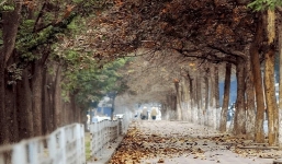 Bản tin dự báo thời tiết đêm nay, ngày mai 14-15/3: Mưa rải rác ở Bắc Bộ, có nơi nhiệt độ xuống 19 độ 