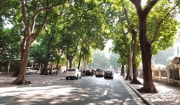 Bản tin dự báo thời tiết 10 ngày (24/3-2/4): Bắc Bộ tăng nhiệt dần để chuẩn bị chào hè