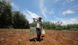 Bản tin dự báo thời tiết đêm nay, ngày mai 1-2/4: Hà Nội mưa rải rác, Trung Bộ nắng nóng