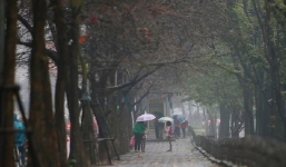 Bản tin dự báo thời tiết đêm nay, ngày mai 8-9/4: Hà Nội nhiều mây, đêm và sáng có mưa