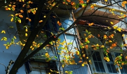 Dự báo thời tiết ngày mai 30/4: Hà Nội hửng nắng, chiều tối và đêm có nơi mưa rào