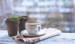 Dự báo thời tiết 9/7: Mưa giông sáng sớm và rải rác trong ngày, trời mát mẻ 