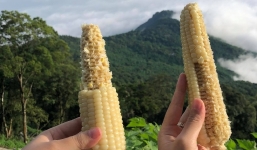 6 thói quen ăn ngô 'tố cáo' bí mật tính cách con người bạn