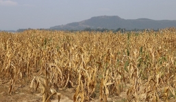 Dự báo thời tiết 29/7: Hà Nội trời âm u, Trung Bộ nắng nóng gay gắt