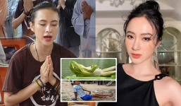 Angela Phương Trinh vạ miệng, hậu tuyên bố ăn chay trường cả đời