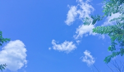 Dự báo thời tiết 17/8: Nắng nóng trở lại, đề phòng mưa dông vào chiều tối