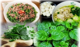 Ăn rau mồng tơi hằng ngày, có thể bạn chưa biết mồng tơi độc thế này
