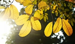 Bản tin dự báo thời tiết 10 ngày (26/8-5/9): Miền Bắc mưa dông kèm mưa đá, trời mát