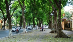 Dự báo thời tiết 28/8: Nhiều mây, sáng có mưa vừa, có nơi mưa to và dông