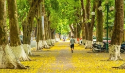 Dự báo thời tiết 10 ngày (6-16/9): Mưa rào rải rác khắp 3 miền, trời mát mẻ