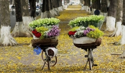 Dự báo thời tiết 10/9: Trời có mây ngày nắng, chiều tối mưa rào