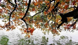 Dự báo thời tiết 13/9: Trời nhiều mây, cục bộ mưa rải rác đề phòng lốc sét