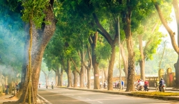 Dự báo thời tiết 19/9: Chiều tối và đêm có lúc có mưa rào và dông