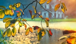 Dự báo thời tiết 25/9: Hà Nội mưa rải rác, trời âm u