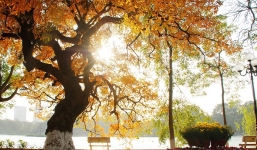 Dự báo thời tiết 28/9: Hà Nội ngày nắng, đêm có mưa rào và dông vài nơi