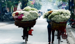 Dự báo xu hướng thời tiết 10 ngày (1-11/10): Trung du miền núi có mưa rào và dông rải rác