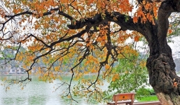 Dự báo xu hướng thời tiết 10 ngày (14-24/10): Nắng ấm trở lại, trời rét về sáng và đêm