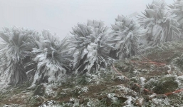 Thời tiết 10 ngày trên cả nước (25/11-5/12): Thêm đợt không khí lạnh rất mạnh tăng cường xuống nước ta