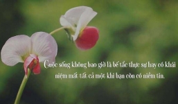 35 stt về cuộc sống hay và ý nghĩa giúp chữa lành mọi vết thương lòng