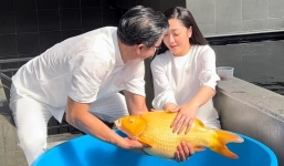 'Vua cá Koi' - Hà Thanh Xuân đồng cam cộng khổ, 'xỉa xói' thẳng mặt CDM vì lời đồn 'khó thấu'?