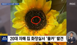 Cha dượng đặt camera giấu kín trong bó hoa giả để quay lén con riêng của vợ