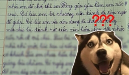 Xôn xao bài văn tả chú chó 'trên thông thiên văn, dưới tường địa lý' của học sinh tiểu học khiến dân tình phì cười