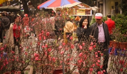 Chuyên gia thông tin về thời tiết cả nước dịp Tết Nguyên đán Tân Sửu 2021: Miền Bắc ấm áp