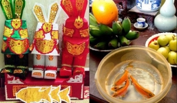 Vì sao cúng Ông Công Ông Táo 23 tháng Chạp lại thả cá chép mà không phải loại cá nào khác?