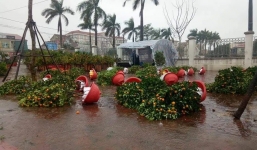 Thời tiết thay đổi bất ngờ ở hai miền, hàng loạt chậu hoa, cây quất đổ nghiêng ngả trong cơn mưa rét cuối năm