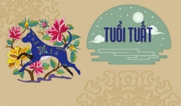 Tuổi Tuất nên làm gì đầu năm Tân Sửu 2021 để cả năm được may mắn?