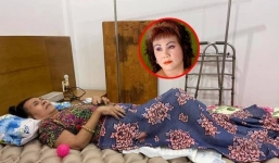 Lâm vào nghịch cảnh ở tuổi 62, hàng loạt sao Việt kêu gọi ủng hộ nghệ sĩ Hoàng Lan