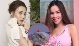 Học theo Hồ Ngọc Hà, vợ mới Cường Đô La chi bội tiền dưỡng nhan sắc theo phong cách quý tộc