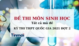 Đề thi môn Sinh Học THPT Quốc Gia 2021 đợt 2 tất cả mã đề