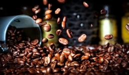 Giá cà phê hôm nay 6/10: Thị trường tiếp tục lao dốc trong mọi 'mặt trận'
