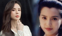 'Tiểu Long Nữ' Lý Nhược Đồng lao đao, suýt vướng vòng lao lý vì tội lừa đảo