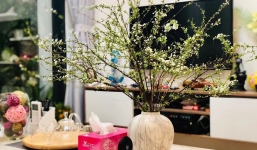 Hoa tuyết mai chơi Tết: Cách chọn và cắm loài hoa này bung nở đẹp đúng ngày Tết