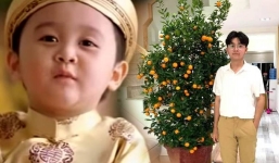Diện mạo trưởng thành ngỡ ngàng của cậu bé đọc vè chúc Tết quảng cáo gây sốt màn ảnh một thời