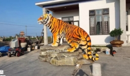 Tượng hổ của một tỉnh thành vừa 'chào sân' đã xưng ngôi vô địch, thần thái 'chúa sơn lâm'
