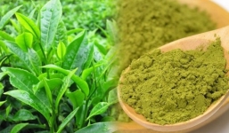 5 công dụng của bột trà xanh trong cuộc sống thường ngày: Thần dược với nhan sắc, thuốc quý cho sức khỏe!