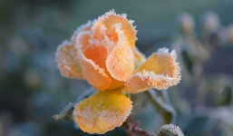 Thời tiết 10 ngày (1-10/12): Đợt rét mạnh nhất từ đầu năm kéo dài đến khi nào?