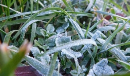 Thời tiết ngày và đêm 1/12: Hà Nội nắng hanh hao, đêm nhiệt độ giảm sâu