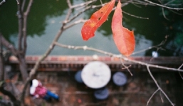 Dự báo thời tiết hôm nay 6/12: Sương mù nhẹ, ngày nắng đêm không mưa