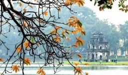 Thời tiết hôm nay 7/12: Đêm không mưa, sáng sớm có sương mù