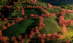 Tin thời tiết 11/12: Hà Nội sương mù nhẹ rải rác, trưa chiều giảm mây trời nắng