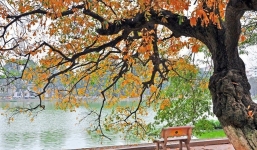 Thời tiết 10 ngày tới trên cả nước (14-24/12): Cuối tháng 12 Bắc Bộ liên tiếp rét đậm, rét hại