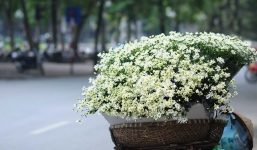 Dự báo thời tiết 17/12: Mưa nhỏ rải rác, đêm và sáng sớm trời rét 