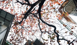 Thời tiết hôm nay 24/12: Ngày nắng ấm cuối trước khi đón không khí lạnh cực mạnh