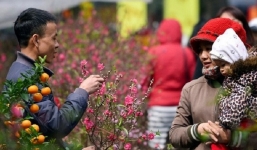 Thời tiết 10 ngày tới trên cả nước (4-14/1): Giữa tháng Chạp trời rét đậm, rét hại